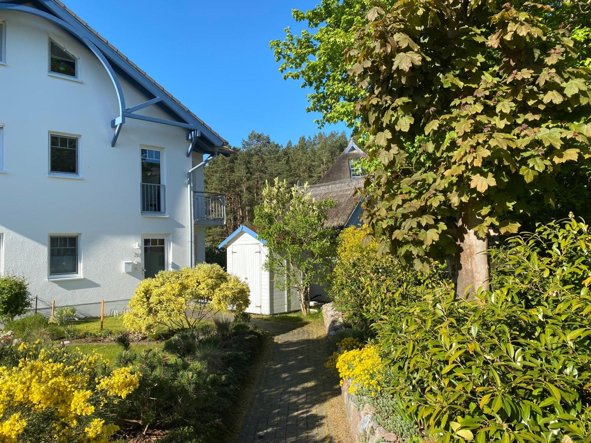 Duenenresidenz Karlshagen - Ferienwohnung Ginsterweg المظهر الخارجي الصورة