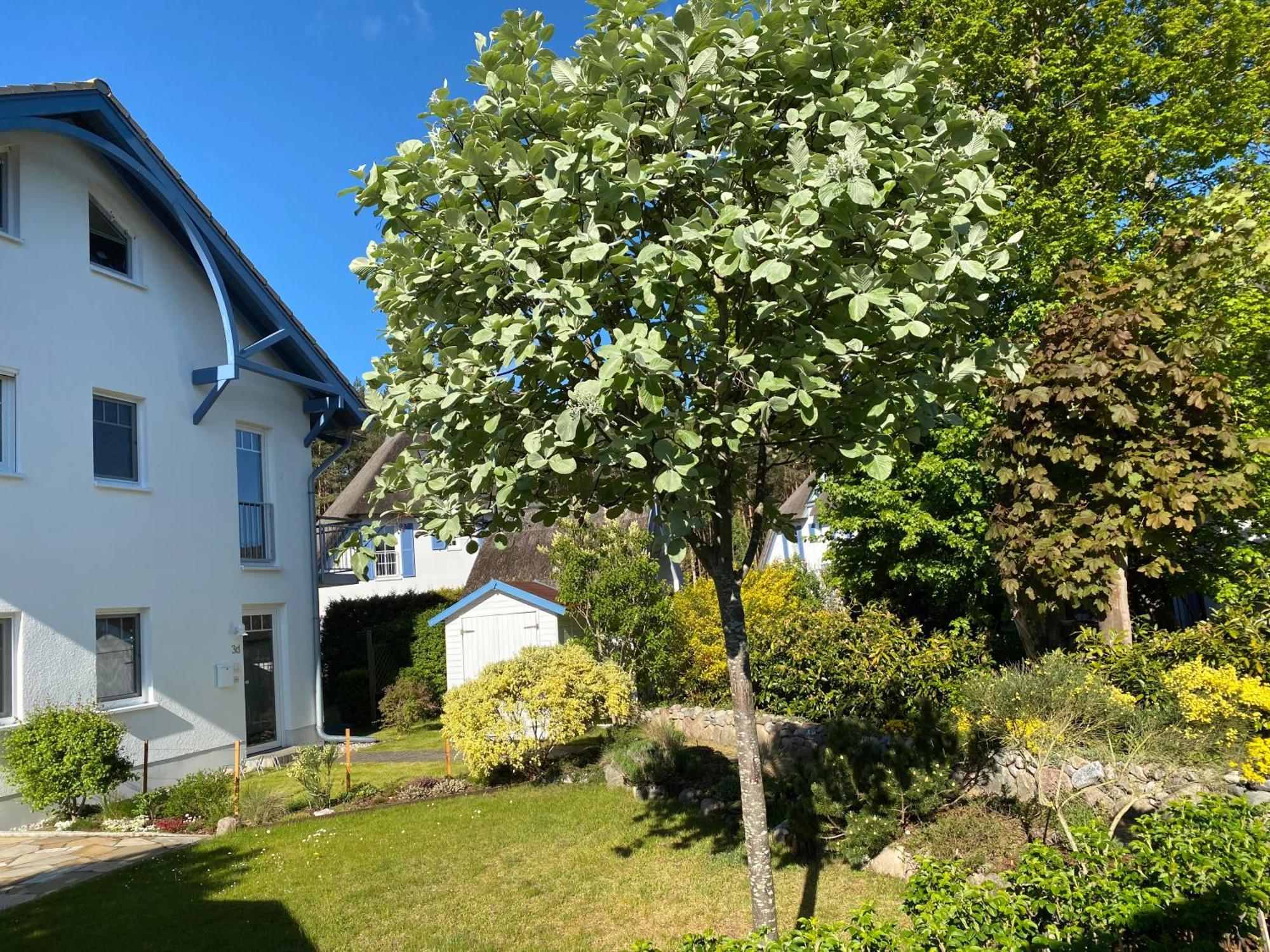 Duenenresidenz Karlshagen - Ferienwohnung Ginsterweg المظهر الخارجي الصورة